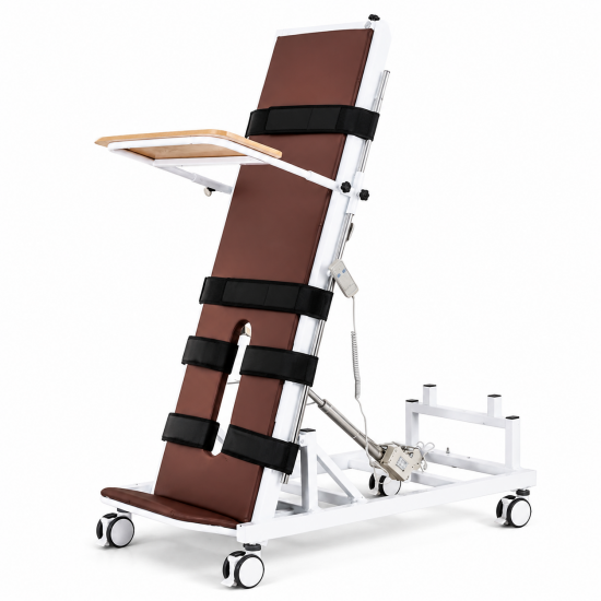 Electric Standing Rehabilitation Bed for Nursing Homes and Long-Term Care